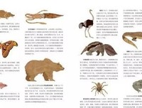 有关心用比才测量者的句子