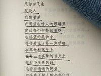 北岛诗集