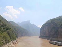 最经典的狂摇小尾巴的名言