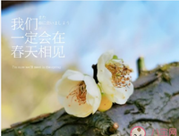 《正能量：坚持正能量，人生不畏惧》好段摘抄