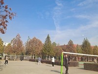 【完满班级】“谁与争锋 力争上游”