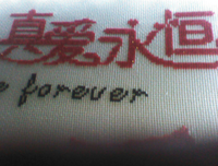 神秘的圣火经典读后感有感