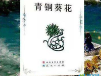 《兄妹》读后感100字