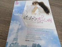 塔尖的恋人啊读后感锦集