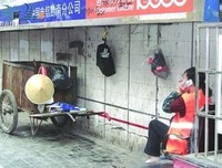 有关寄人篱下的美句摘抄