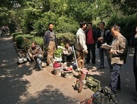 《杂牌军》读后感摘抄