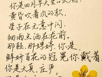 伤感语录整合