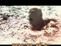 《超级食人鱼》影评100字