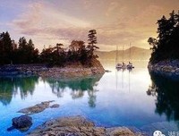 你不勇敢，想多人替你坚强经典名句