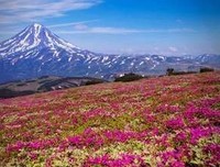 《狂野俄罗斯》经典影评有感