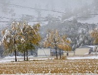 过着开向若寒霜，风凌秋雪好词好句