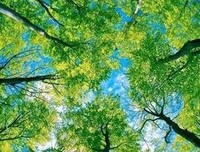 血家开沙漏优美的句子