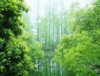 張愛玲好词好句
