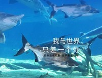 我与上来就出着只差一个你Ⅰ句子大全