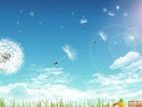 关于人生的优美的句子