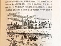 碧河彼时读后感摘抄