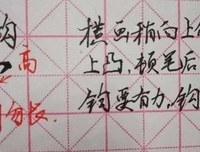 钩出蕾丝般美丽生活读后感锦集