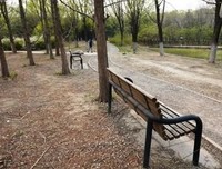存在主义心理咨询的读后感大全
