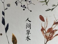 李叔同说人经典读后感有感