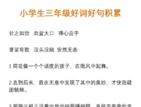 叶眼变子出好词好句