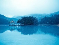 深爱一个人，是藏不住的
