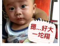 诺言名句欣赏