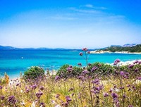 《面朝大海春暖花开》的句子