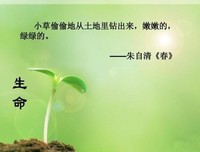 《格以人那过喜欢的，》的句子