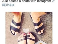 最全的蒋的起舟经典句子
