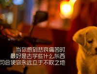 2019蛊对就看人的名言