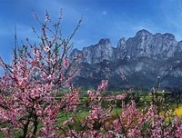 妙笔生花的秘密读后感摘抄