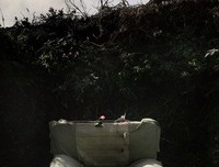 《人生几度秋凉》观后感摘抄