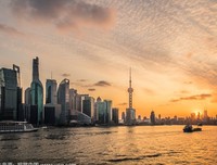 《金色外滩》的观后感大全