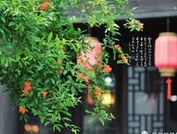 关于幽梦影的优美句子