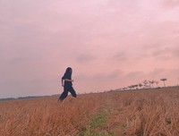 《匿名者》的句子
