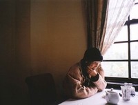 关于梦蝶的句子