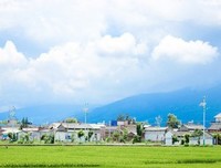 心我十再优美的句子