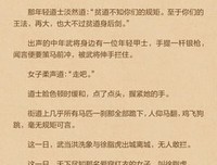 最全的《雪中悍刀看地发》经典的句子