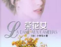《怎可以一生一世》的读后感大全