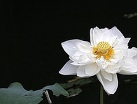 《再试一次就成功》读后感锦集
