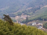 关于我知道多小种多 种想生解的别我多小种少的优美句子
