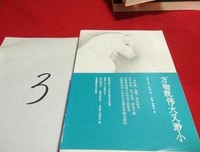 《万物既伟大又渺小》中巨大的悲悯