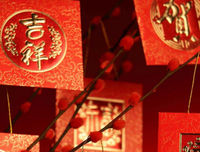 关于生不逢时的语句