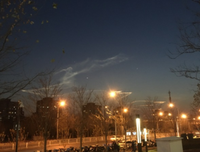 《天启薄暮》读后感摘抄