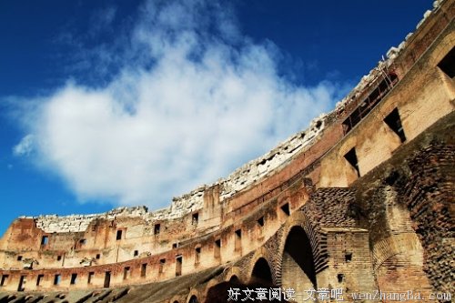 等叶归来