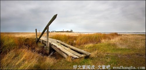 多情的人不该相遇