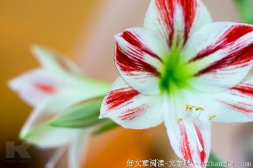 要做就要做让自己成长的事情