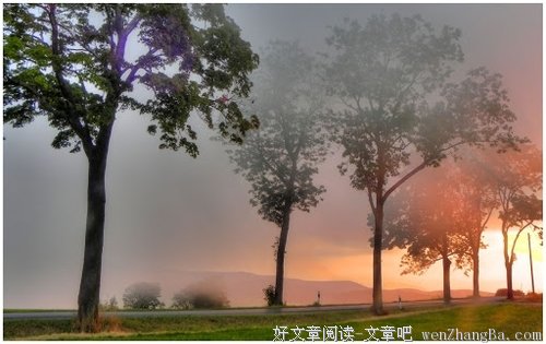 一曲红尘，几经轮回
