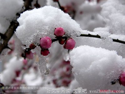 最经典的《温和的修养》语录摘抄