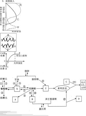 三次高考